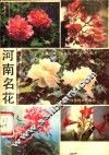 河南名花 封面