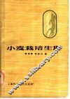 小麦栽培生理 封面