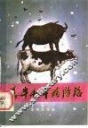 养牛与牛病防治 封面