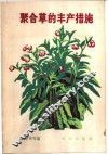 聚合草的丰产措施 封面