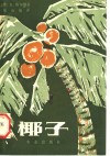 椰子 电子书封面