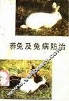 养兔及兔病防治 封面