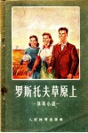 罗斯托夫草原上 封面
