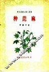 种蓖麻 封面
