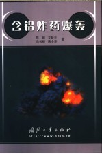 含铝炸药爆轰 封面