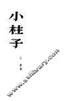 小柱子  小说选集 封面