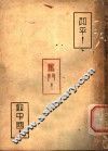 和平！奋发！救中国！ 封面