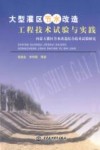 大型灌区节水改造工程技术试验与实践  内蒙古灌区节水改造综合技术试验研究 封面