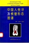 中国人恒牙及根管形态图谱 封面