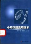 小切口胆囊切除术 封面