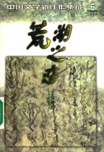荒湖之恋 封面