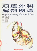 颅底外科解剖图谱 封面
