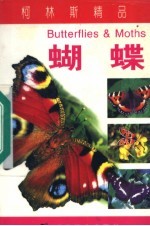 蝴蝶 电子书封面