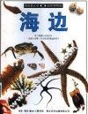海边 封面