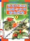 常用中草药鉴别与应用彩色图谱  1 封面