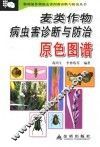 麦类作物病虫害诊断与防治原色图谱 封面