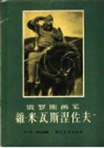 俄罗斯画家维·米·瓦斯涅佐夫 电子书封面