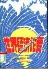 世界经济论要 封面