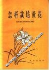 怎样栽培黄花 电子书封面