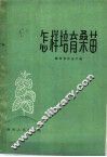 怎样培育桑苗 电子书封面