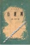 行道树 封面