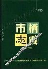 栖霞市志  1985-1999 封面