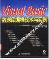 Visual Basic数据库编程技术与实例 封面