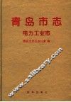 青岛市志  电力工业志 封面