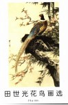 田世光花鸟画选 封面