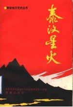 泰汶星火 封面