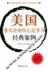 美国著名企业核心竞争力经典案例 封面