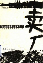 卖厂 封面