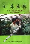 莘县文史资料  第15辑  农村产业结构调整  小康之路 封面