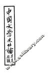 中国文学史外论 封面