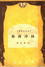 林冲夜奔 封面