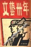 文艺三十年 封面