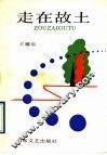 走在故土 封面