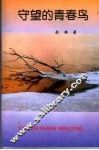守望的青春鸟 封面
