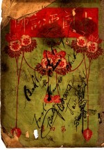 中国恶讼师 封面