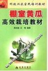 棚室黄瓜高效栽培教材 封面