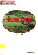 惟我彭大将军  《保卫延安》导读 电子书封面