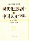 现代化进程中的中国人文学科  文学卷 封面