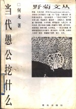 当代愚公挖什么 封面