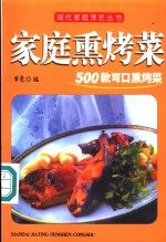 家庭熏烤菜  500款可口熏烤菜 封面
