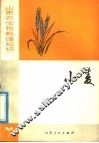 小麦 封面