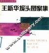 王新华报头图案集 封面