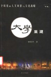 全球化的人文审思与文化战略  下  大学重建 封面