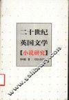 二十世纪英国文学  小说研究 封面