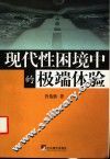 现代性困境中的极端体验 封面