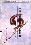 中国文学新论  中国小说观念的现代化历程 封面